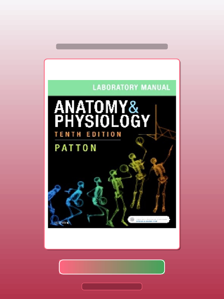 Anatomy and Physiology 10th Edition Patton Test Bank Available ...