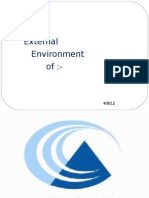 The External Environment Of