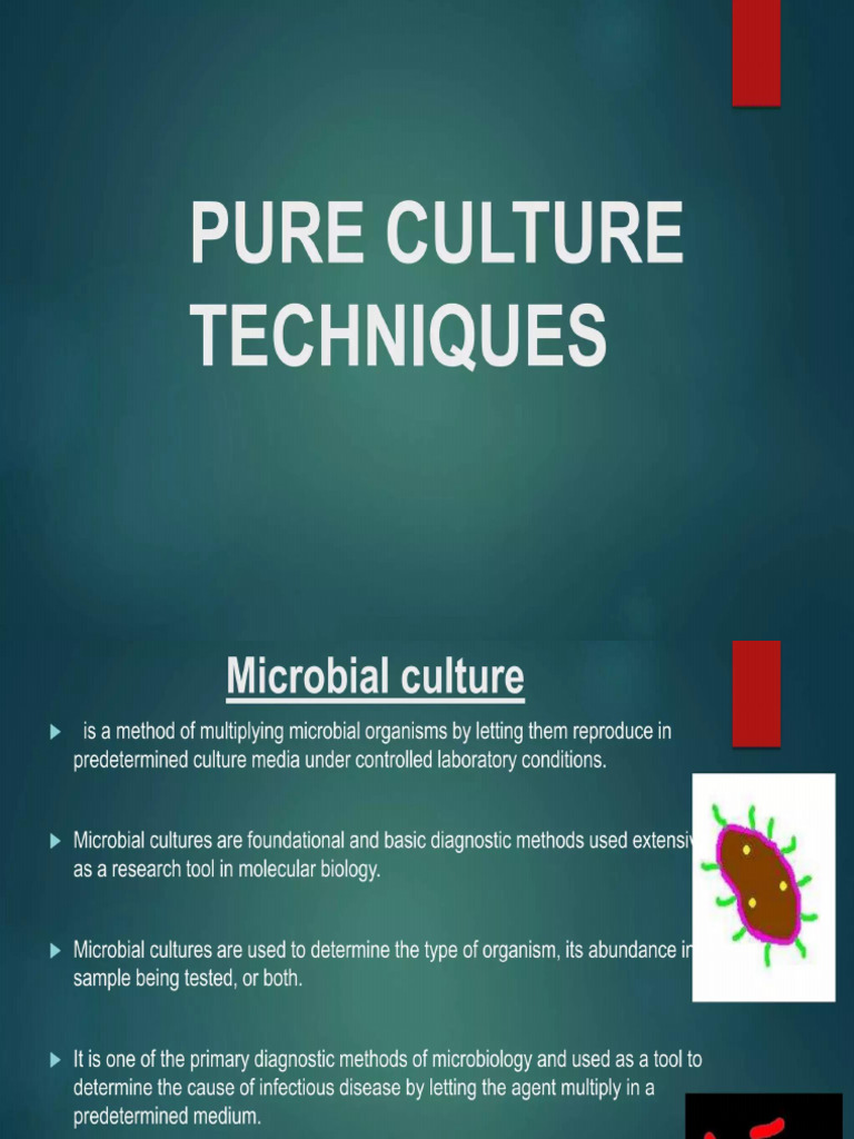 Pure Culture Technique Chapter 2 | PDF