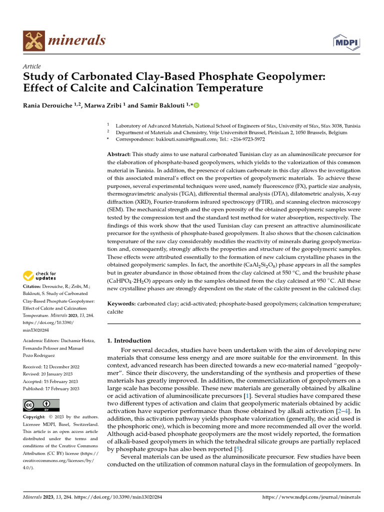 Carbonated Clay Phosphate Geopolymer Study | PDF | Minerals ...