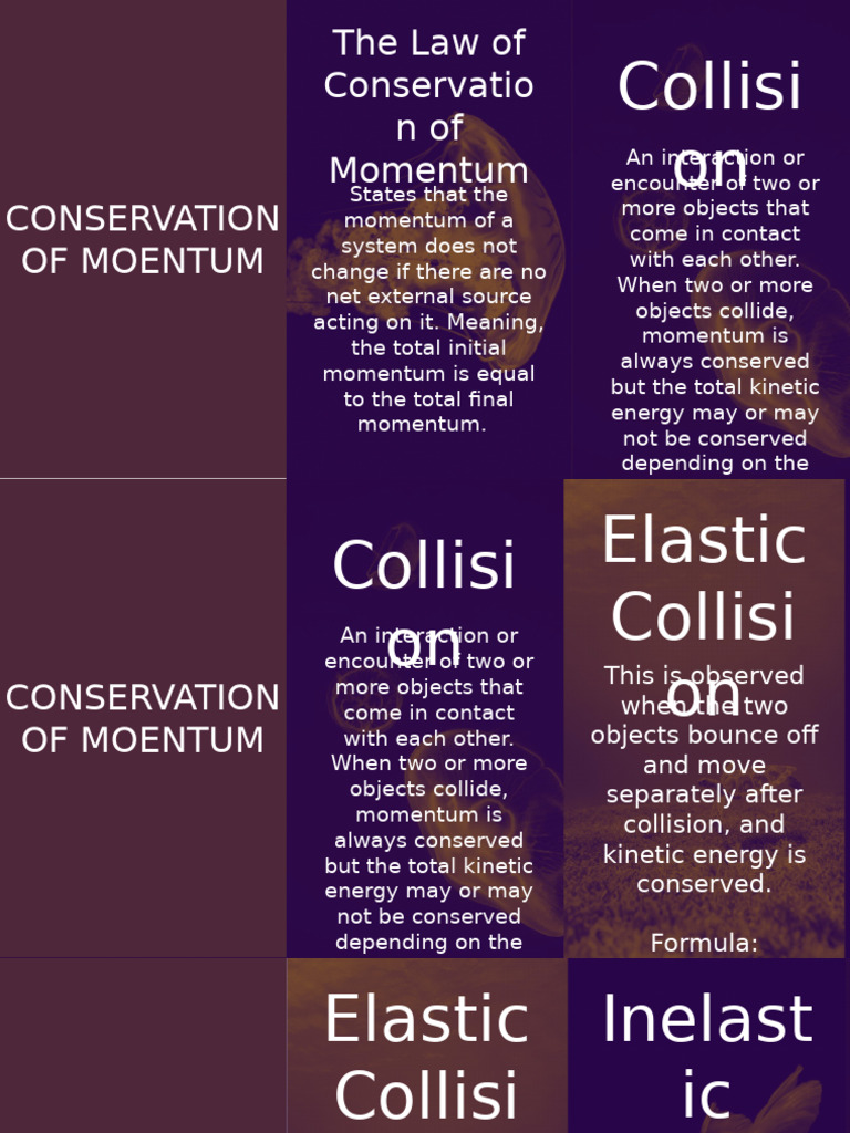 Understanding Momentum Conservation Laws | PDF | Momentum | Collision