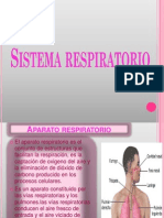 Sistema Respiratorio- Diapositivas 1