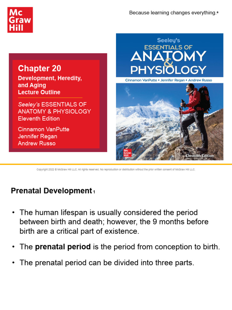 Development and Aging in Humans | PDF | Zygosity | Placenta