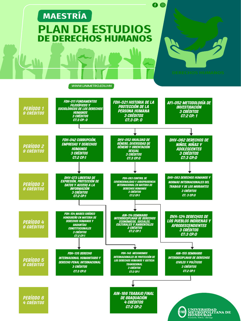 Plan de Estudios Maestría en Derechos Humanos | PDF | Derechos humanos ...