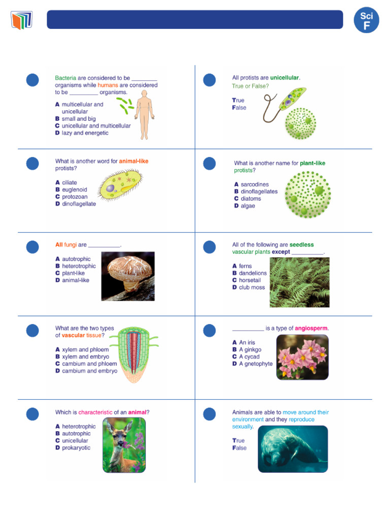 Six Kingdoms of Life Worksheet | PDF