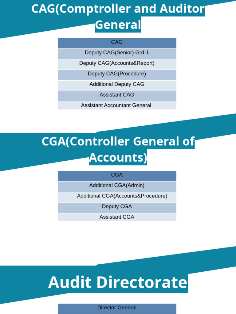 CAG Hierarchy and Roles Overview | PDF