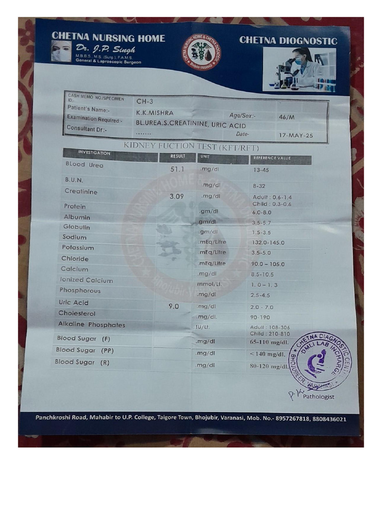Kidney Function Report-3 | PDF