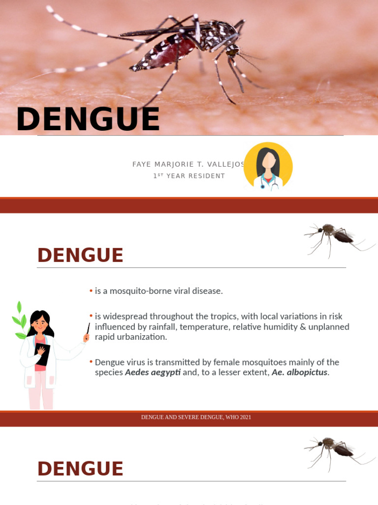 Dengue Overview and Management Guidelines | PDF | Aedes Aegypti ...