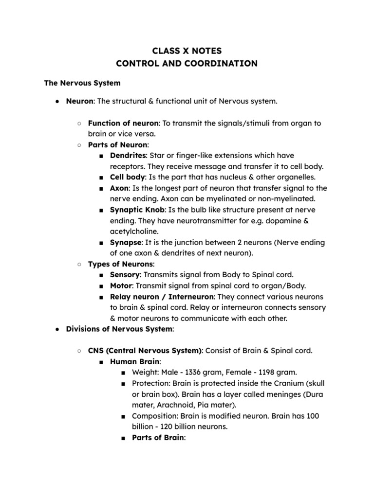 Control and Coordination in Biology | PDF | Neuron | Nervous System