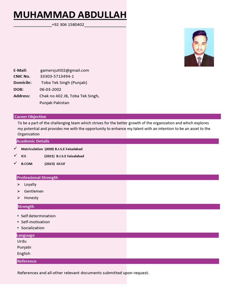 Muhammad Abdullah's CV Summary | PDF