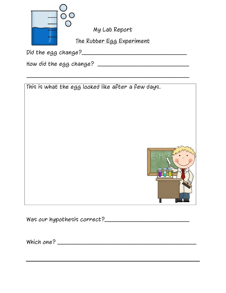 The Rubber Egg Experiment Lab Report PDF