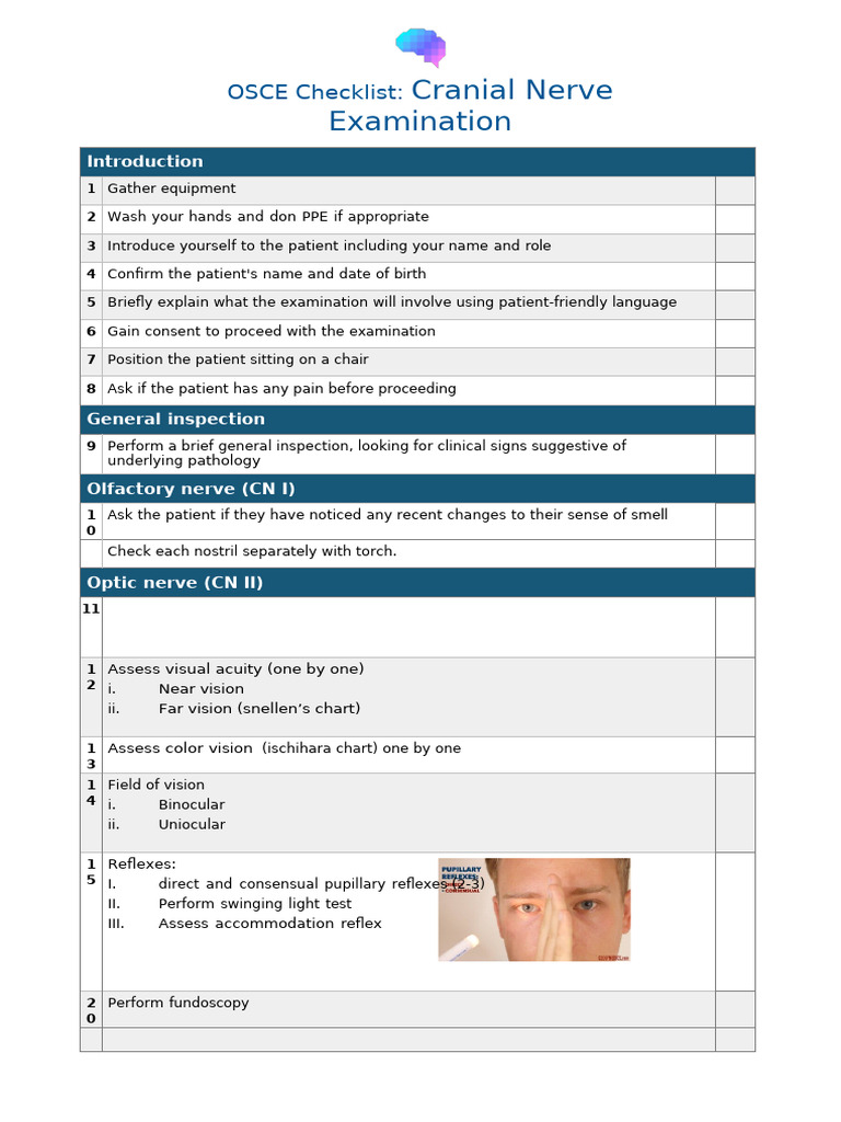 Cranial Nerve V Examination Guide | PDF | Nervous System | Human Anatomy