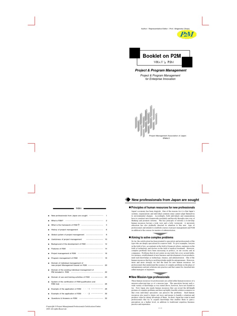 P2M Booklet | PDF | Project Management | Strategic Management