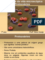 Protozoários: diversidade e doenças