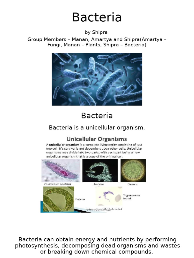 Understanding Bacteria: Characteristics & Growth | PDF