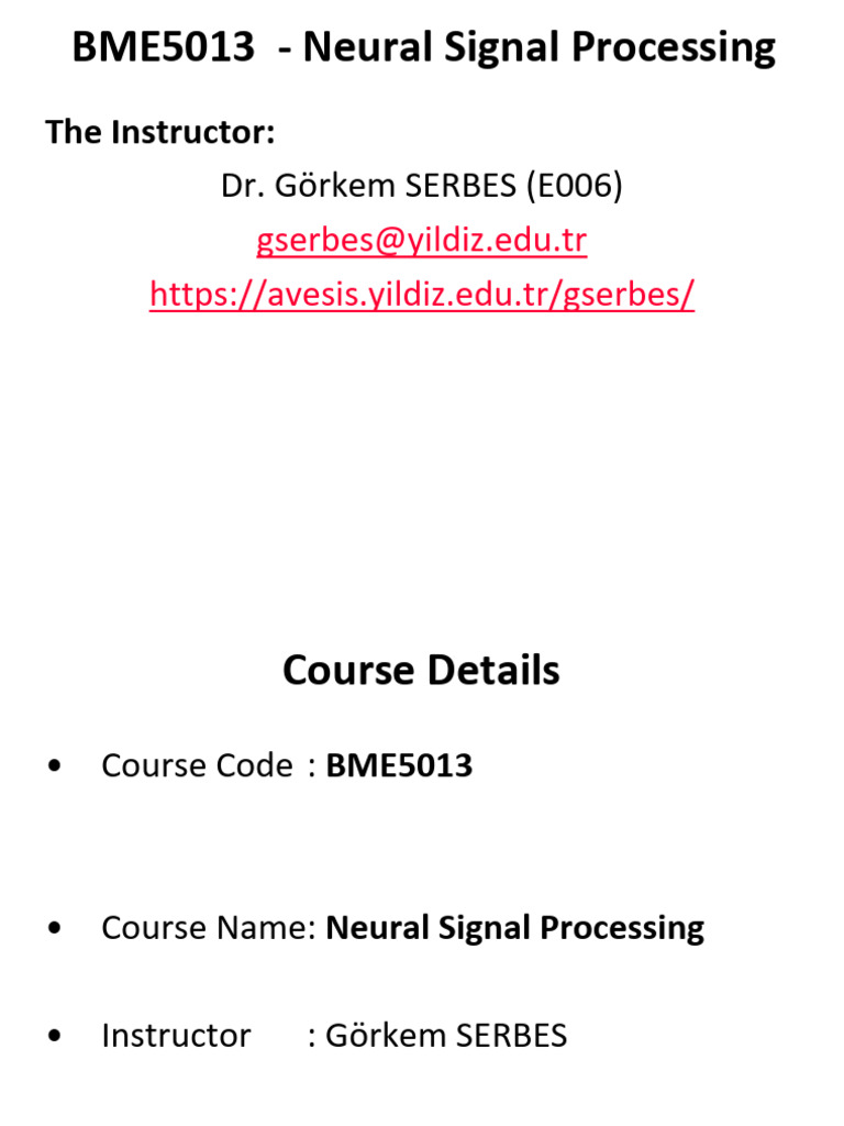 Neural Signal Processing Overview | PDF | Cerebrum | Brainstem