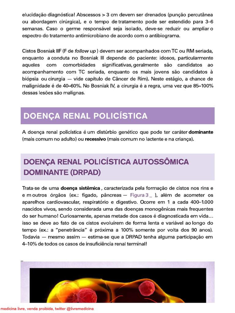 Doença Renal Policística | PDF