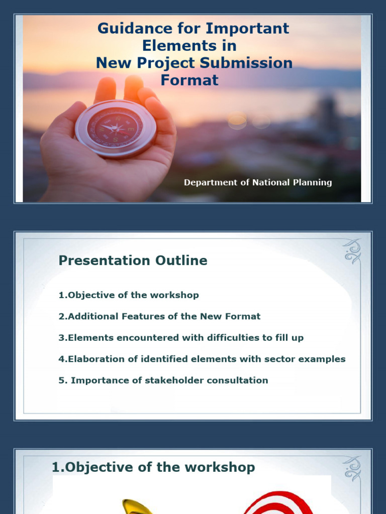 New Project Submission Format Guide | PDF | Drinking Water | Risk