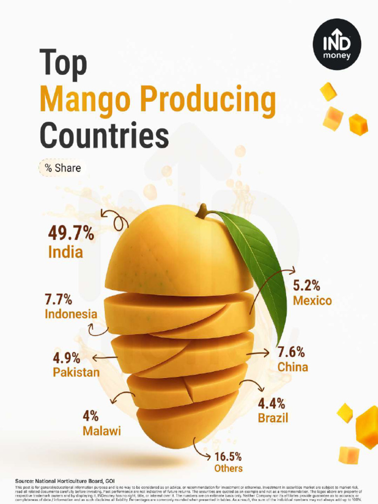 Mango - Thematic | PDF