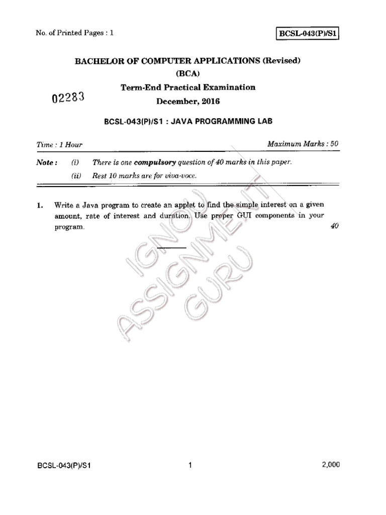 Java Programming Lab Exam BCA | PDF