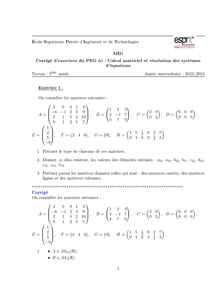 Correction Peg Matrice 24 25 | PDF | Matrice (Mathématiques) | Théories ...