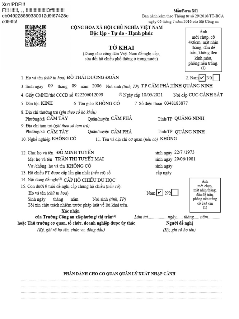Form To Khai x01 | PDF