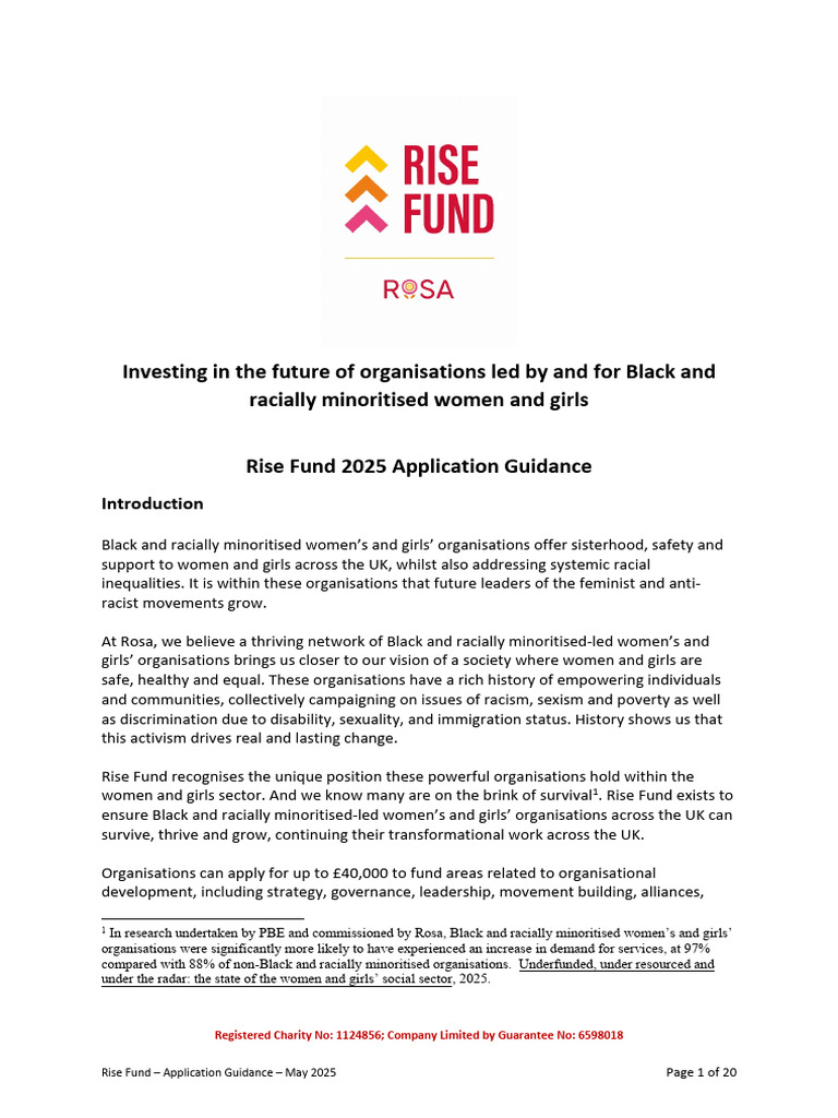 Rise Fund 2025 Application Guidance | PDF | Charitable Organization ...