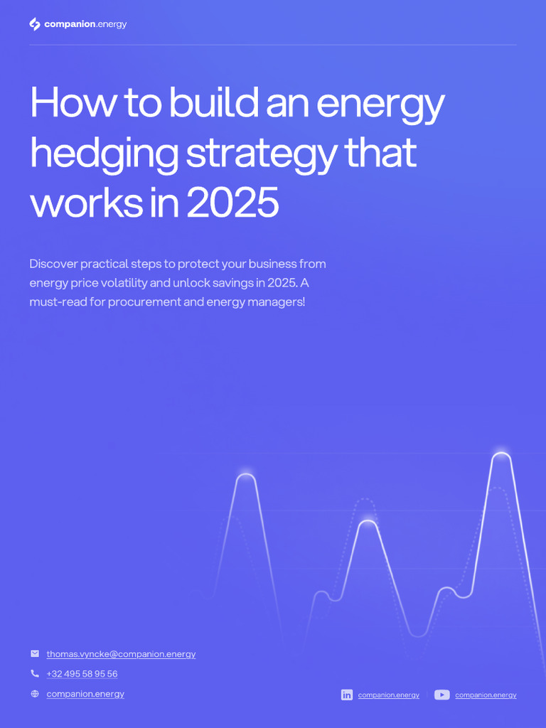 Solar Energy Hedging Strategies for 2025 | PDF | Hedge (Finance ...
