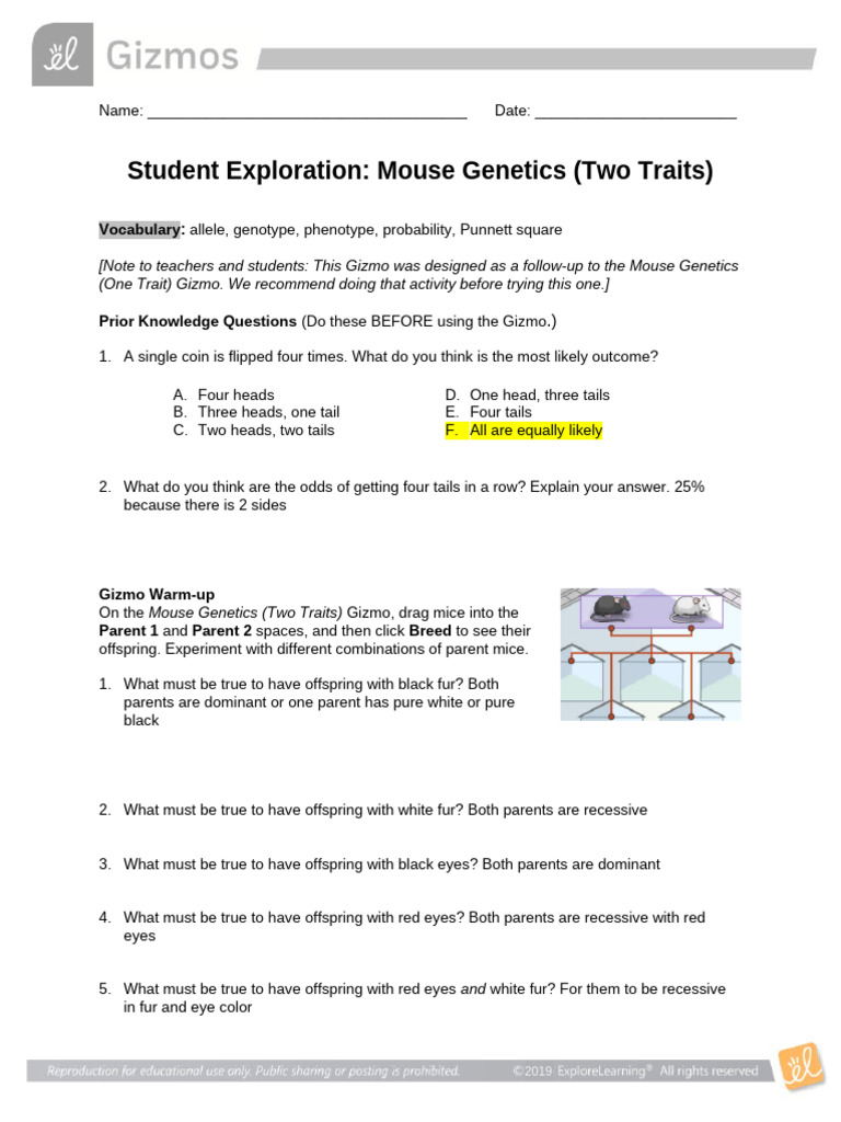 MouseGenetics2SE 1+ (1) + | PDF | Dominance (Genetics) | Genotype