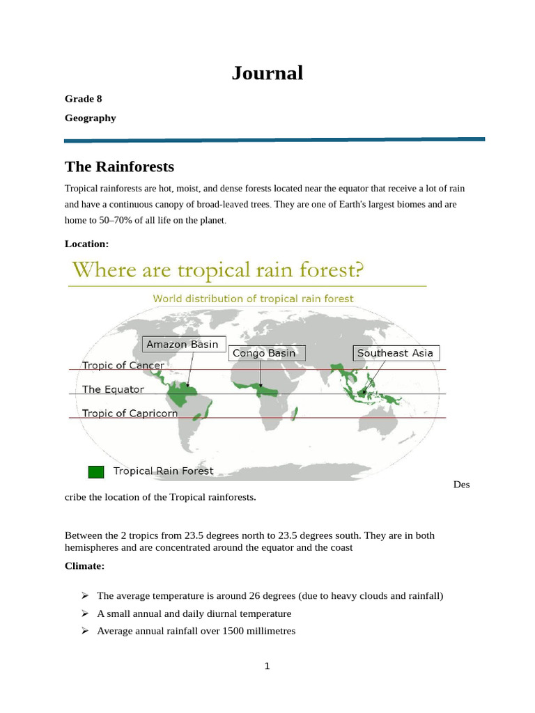 Layers and Soil of Tropical Rainforests | PDF | Rainforest | Trees