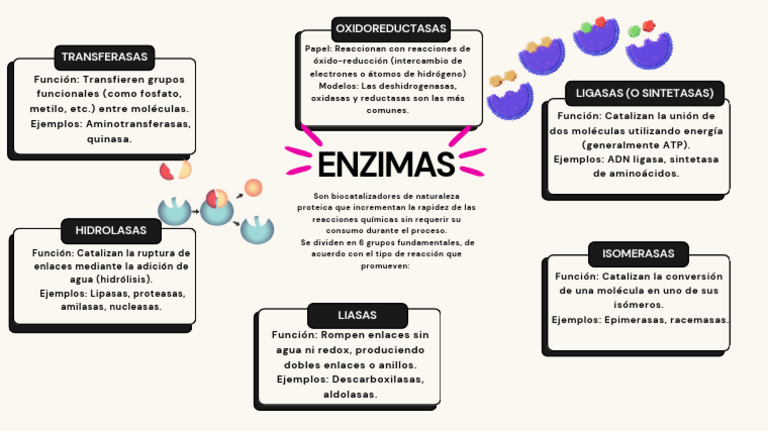 Mapa Mental Empresa Moderno Doodle - 1