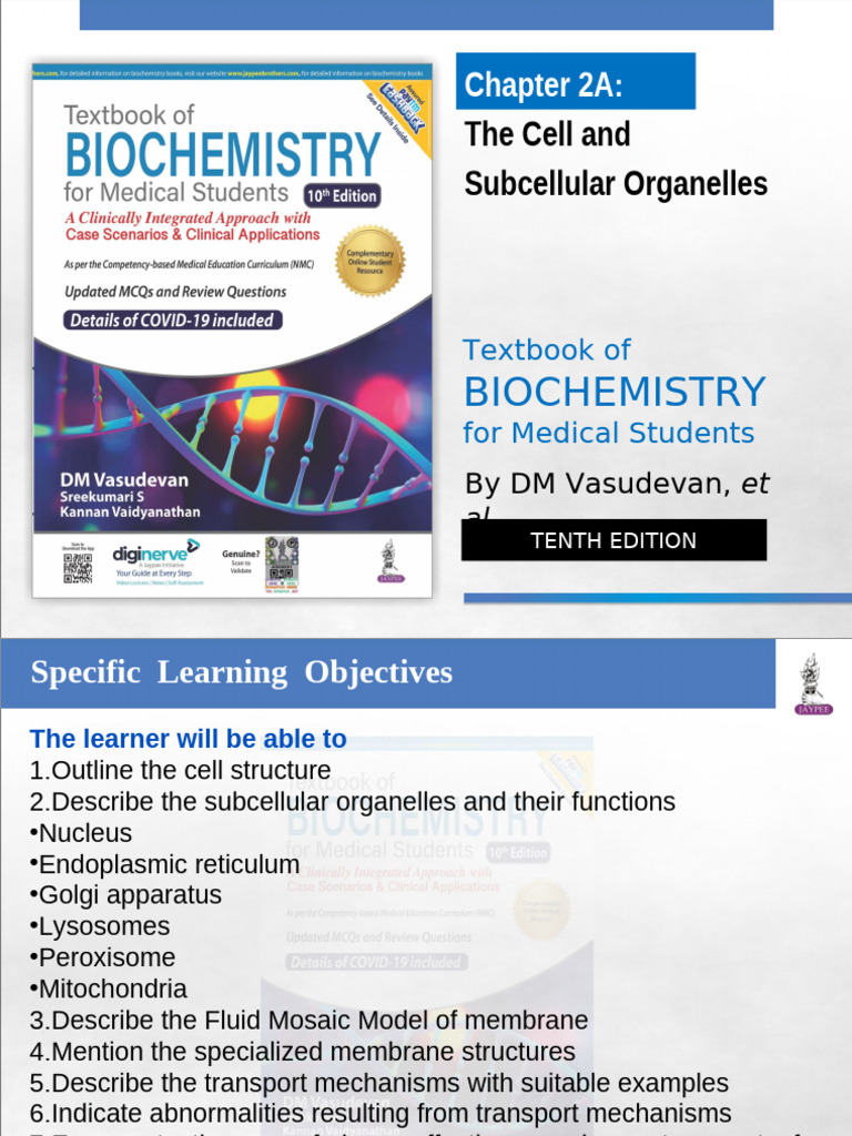Subcellular Organelles | PDF | Cell Membrane | Endoplasmic Reticulum