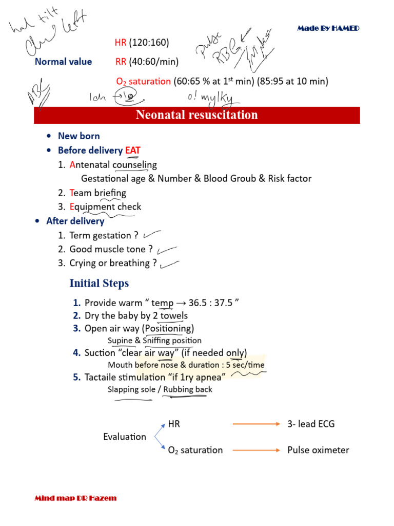 Neonatal Resuscitation Guidelines Mind Map | PDF | Cardiopulmonary ...