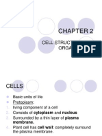 Cell Structure and Organisation