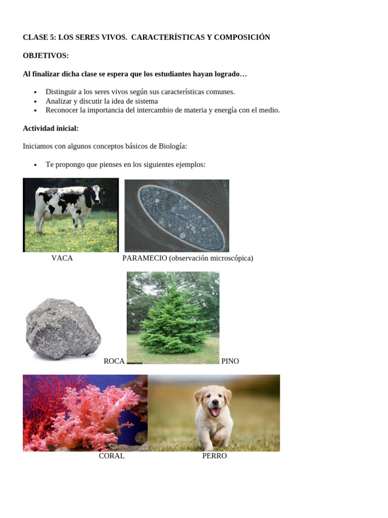 CLASE 5. cARACTERISTICA DE LOS SERES VIVOS | PDF | Organismos | Agua