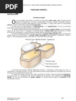 Resumo Capitulo 01 Taiz Zeiger SINANI,TRF 2007