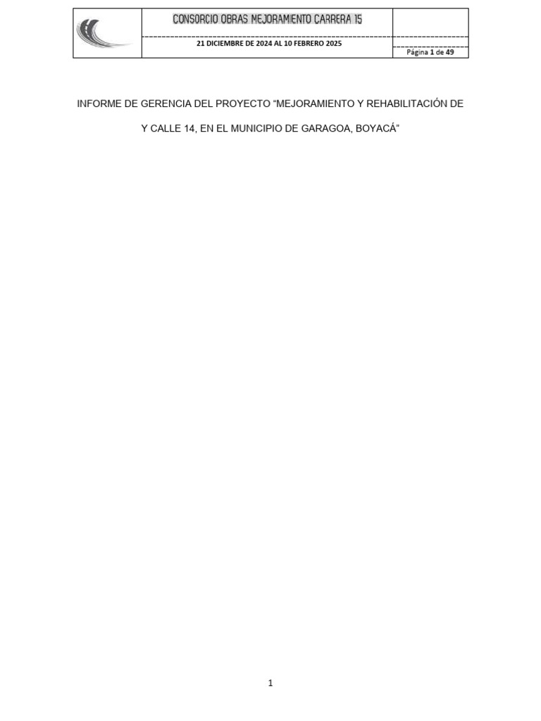 Informe de Gerencia 21 Diciembre de 2024 Al 10 Febrero 2025 | PDF ...