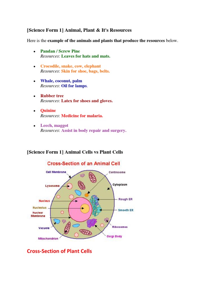 Science Form 1 Note | Atmosphere Of Earth | Oxygen