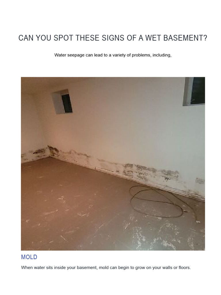 Basement Waterproofing Services - The Real Seal | PDF