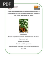 Download PROYECTO PRODUCTIVO DE PAPAYA MARADOL by agaton818482 SN88515415 doc pdf