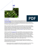 Download Hama Dan Penyakit Tanaman by Rizqon Pramanto SN88515489 doc pdf