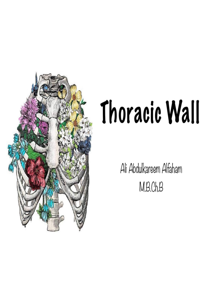 Thoracic Wall Anatomy | PDF | Vertebra | Musculoskeletal System