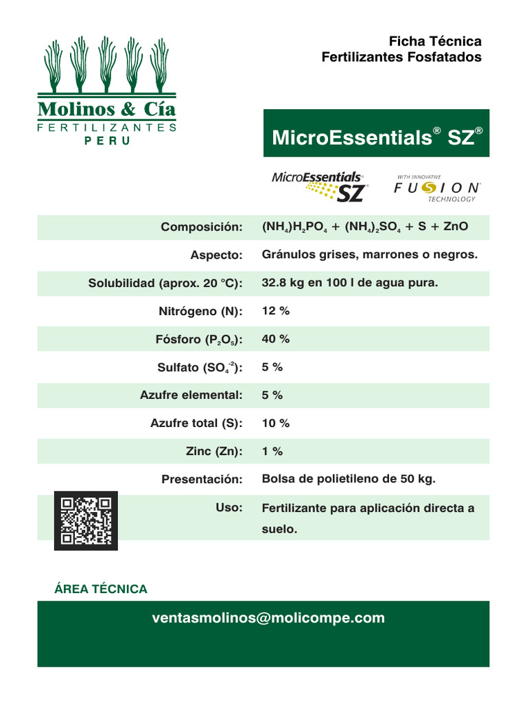 FT MICROESSENTIALSok GRUPOPIONEROS MOLICOM | PDF