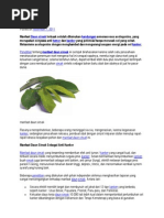 Download MANFAATSIRSAKbySIbosLaSudhaliSN88517933 doc pdf