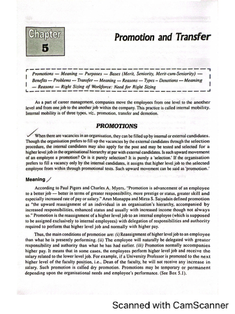 Chapter 5 Internal Mobility | PDF