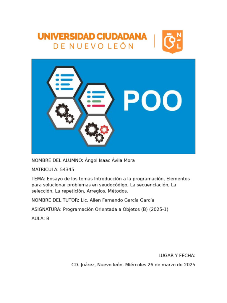 Regularizacion Ensayo de Los Temas Introducción A La Programación y ...