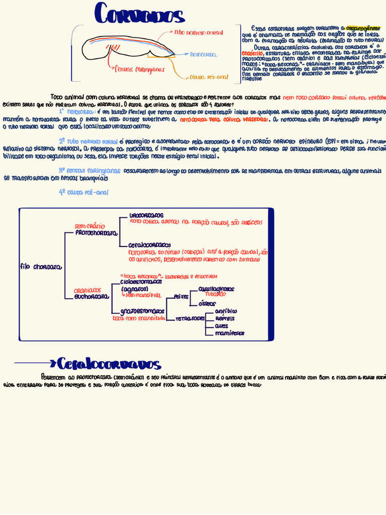 Cortados Mapa mental PDF - 1