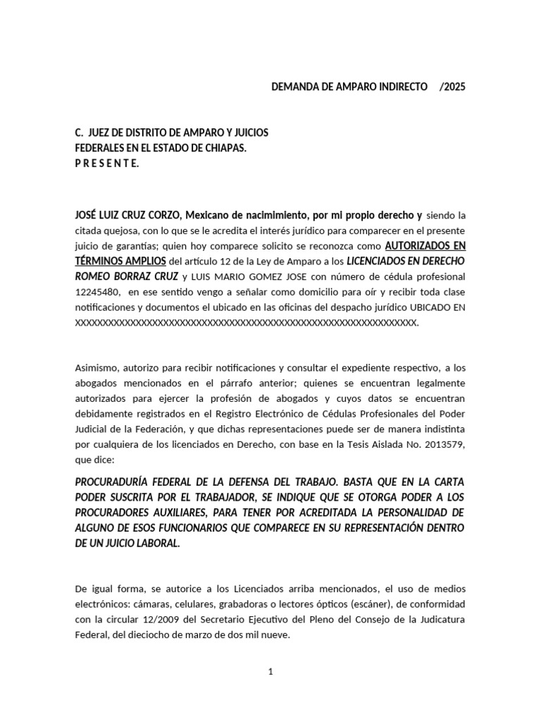 Demanda de Amparo Indirecto 2025 | PDF | Judicaturas | Caso de ley