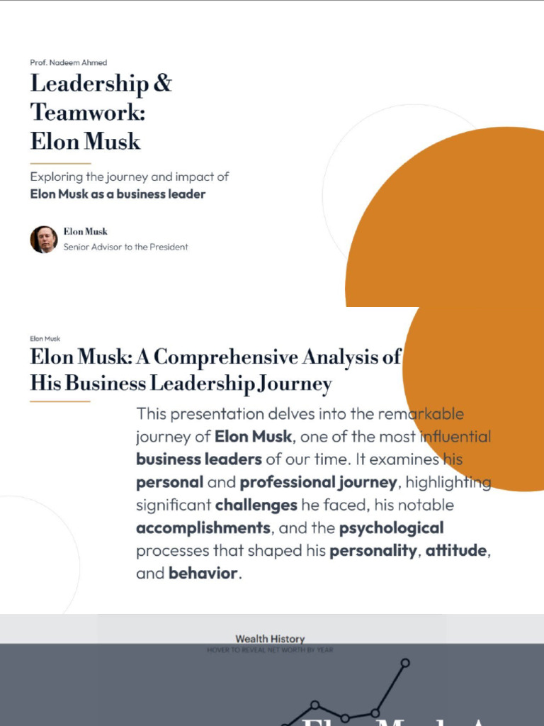 Elon Musk | PDF