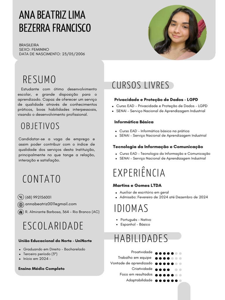 Perfil Profissional de Ana Beatriz Silva | PDF